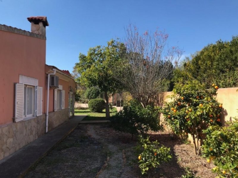 Santa María del Camí Chalet in Santa Maria del Cami Haus 