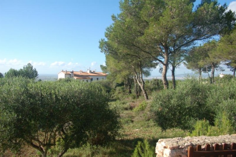 Santa María del Camí Charmantes Chalet in Santa Maria del Cami Haus 