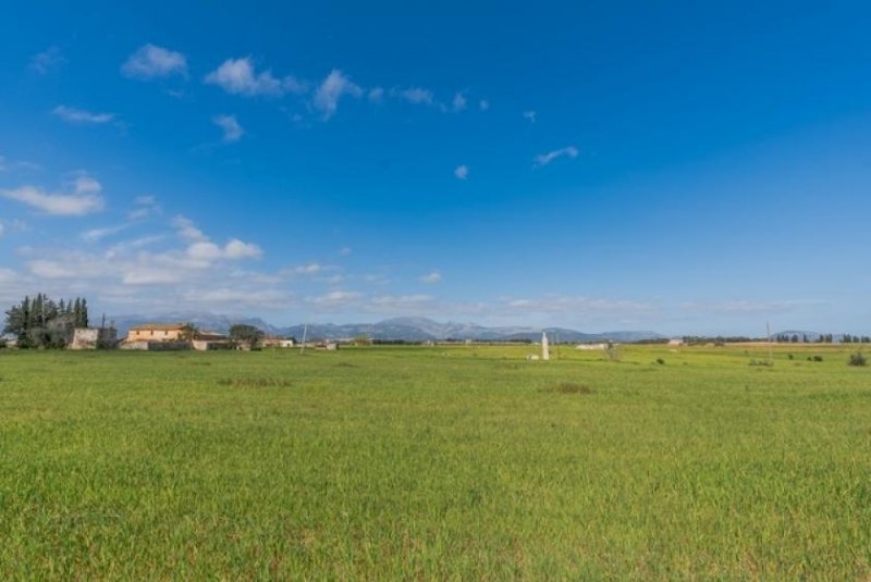 Llubí Fantastische Neubau-Finca in Llubí/Mallorca Haus 