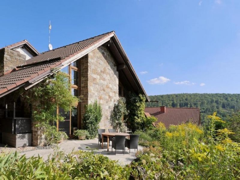 Helsa (EF0971_M) Kassel-Landkreis: Helsa, komplettes modernes Wohnhaus im rustikalen Stil mit Kamin, Garten und Terrasse Haus 