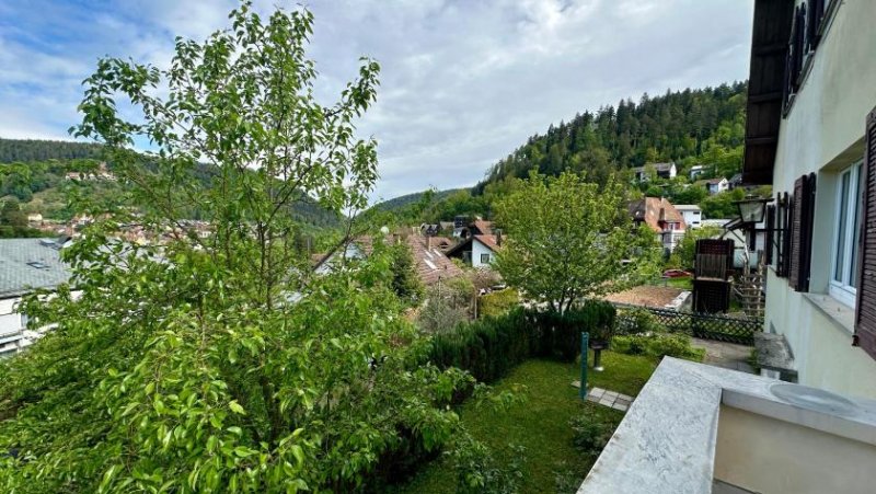 Bad Liebenzell All Inklusive Burgblick - castle view - großzügiges Schwarzwaldhaus in Bad Liebenzell Haus 