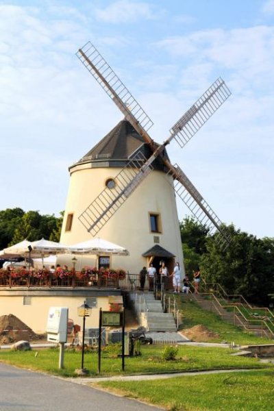 Dresden DRESDEN: Sanierte Holländerwindmühle mit nachgefragtem Restaurantbetrieb Haus kaufen