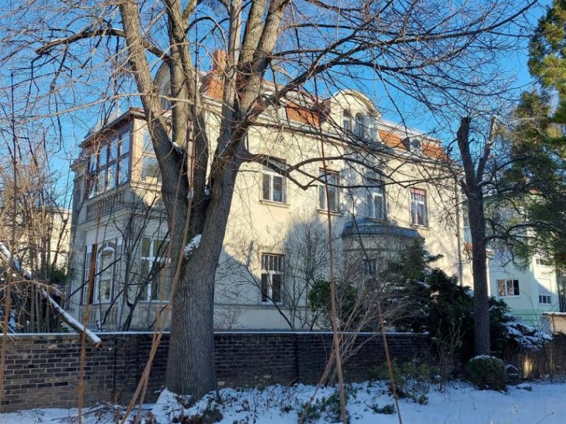 Dresden Renditeobjekt und Steuermodell Dresden: DENKMAL-VILLA am Großen Garten Haus kaufen