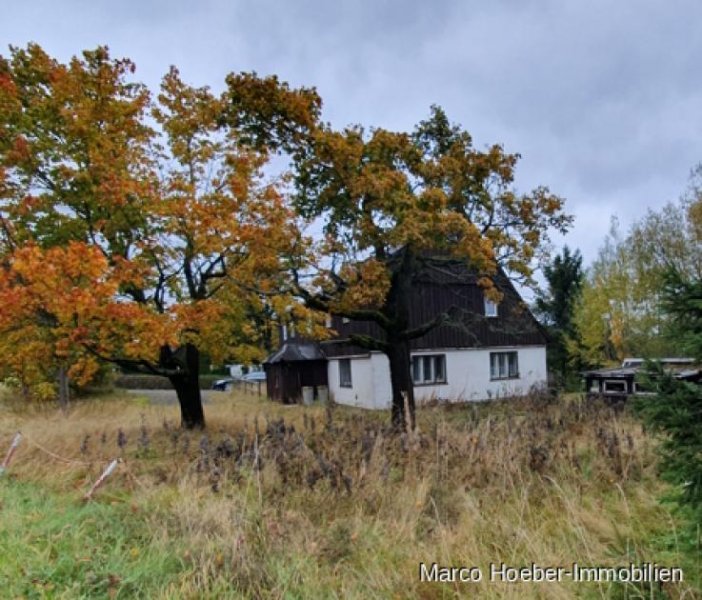 Altenberg Einfamilienhaus im staatlich anerkannten Kurort Altenberg-Zinnwald Haus kaufen