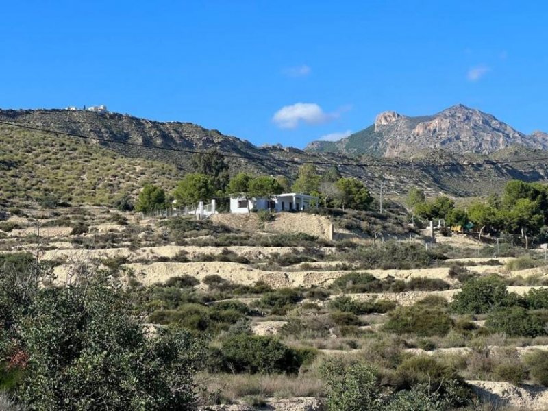 Busot Finca mit tollem Meerblick und Pool Haus kaufen