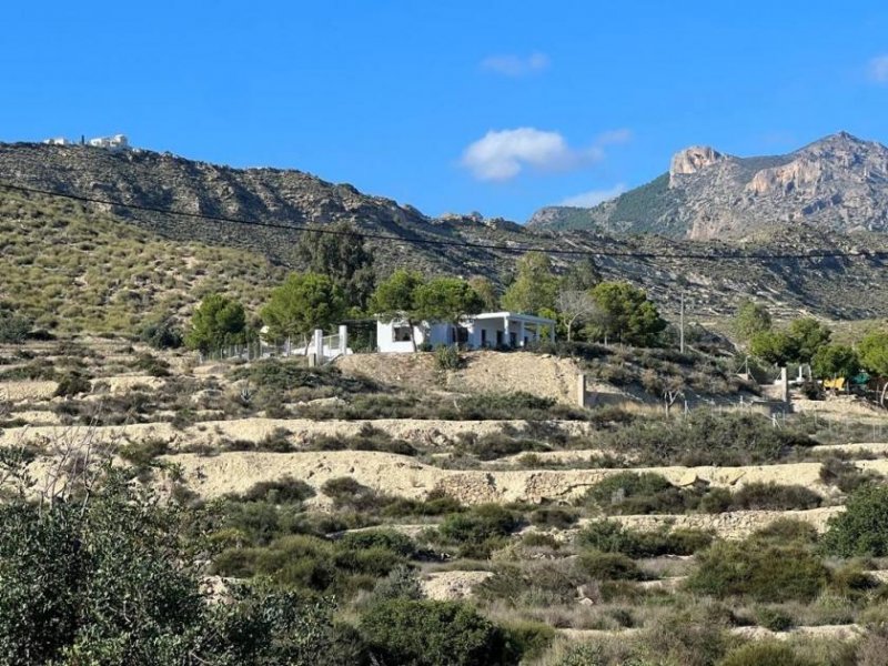 Busot Finca mit tollem Meerblick und Pool Haus kaufen