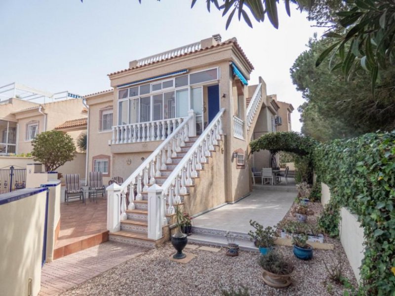 Algorfa Wunderschöne Villa mit Gästeappartement, Dachterrasse und Gemeinschaftspool Haus kaufen