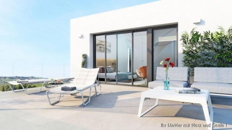 Los Montesinos ***Großzügige Villen mit 4 Schlafzimmern, Dachterrasse und Privatpool*** Haus kaufen