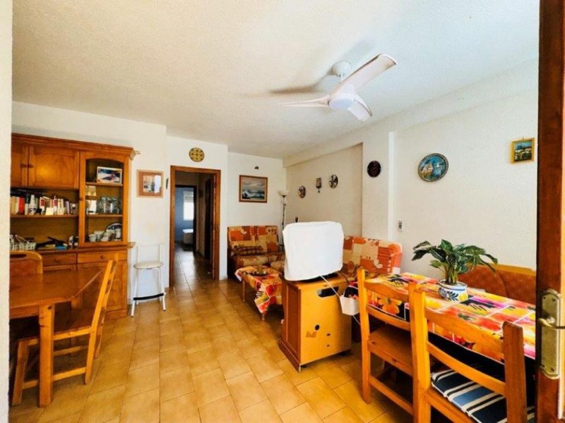 La Mata Appartement mit 3 Schlafzimmern und 1 Bad nur 50 m vom wunderschönen Sandstrand Wohnung kaufen