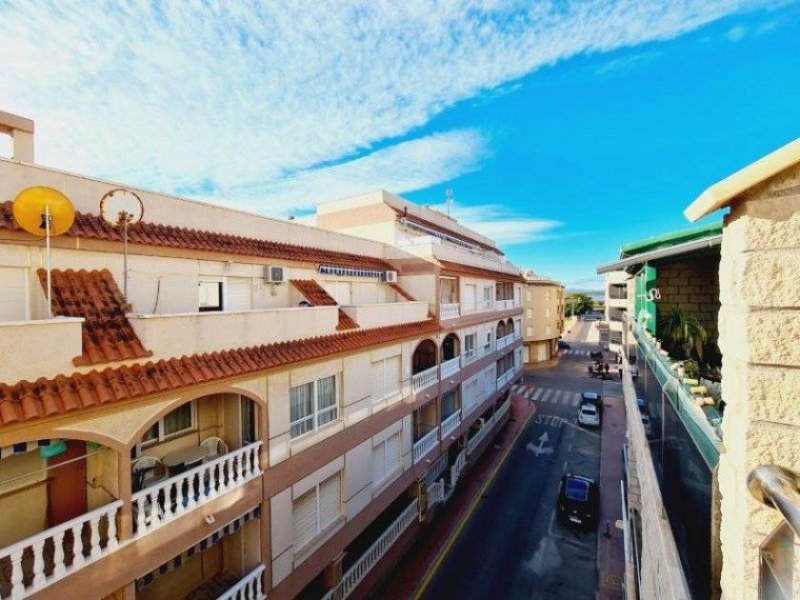 La Mata Penthouse über 2 Ebenen im Centrum von La Mata Wohnung kaufen