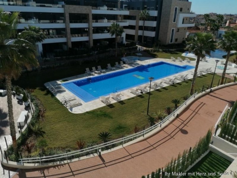 Playa Flamenca ***Wunderschönes neuwertiges Appartement mit 2 Schlafzimmern und 2 Bädern mit Gemeinschaftspool nur 800 m vom Strand*** kaufen