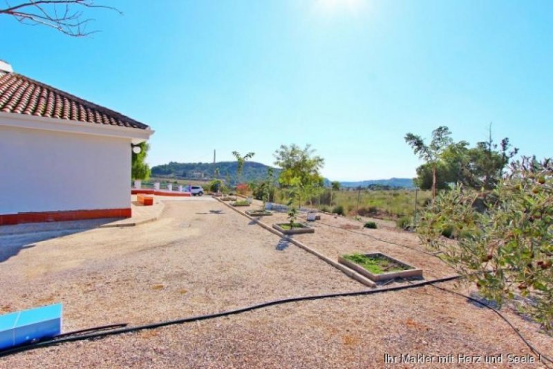 Elchesheim-Illingen ***Schöne Villa etwas außerhalb von Elche mit schöner Aussicht*** Haus kaufen