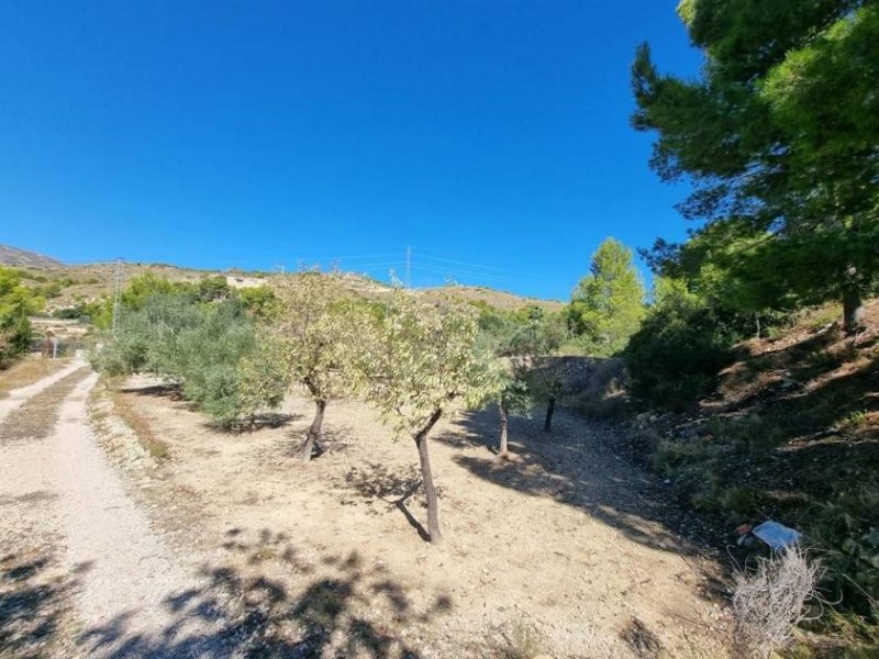 Aigües Eine Finca in einer wunderschönen Gegend mit beeindruckendem Blick über die Berge Haus kaufen