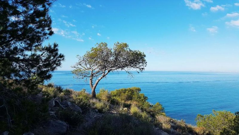 Villajoyosa Wunderschöne Wohnungen mit 2 Schlafzimmern und Meerblick in Wohnanlage mit Außen- sowie beheiztem Innenpool nur 300 m vom