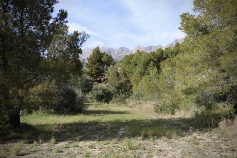 Altea la Vella Baugrundstück mit Meerblick, Altea la Vella, Costa Blanca zu verkaufen Grundstück kaufen