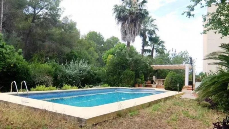 Pedreguer La Sella in Pedreguer Finca Villa kaufen - CHJU69-G Haus kaufen