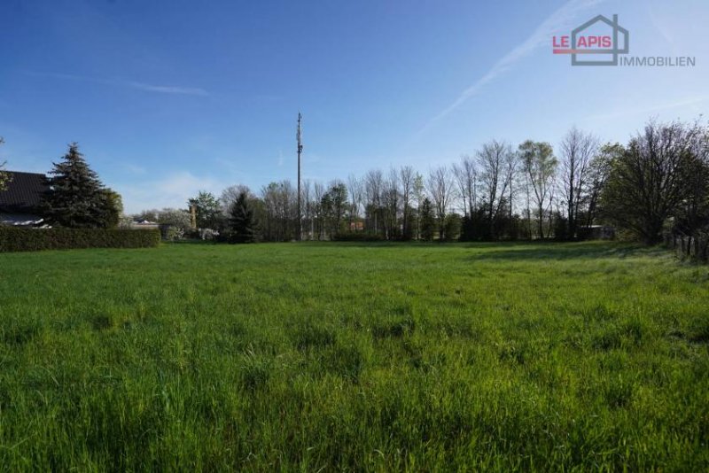 Taucha (Landkreis Nordsachsen) ATTRAKTIVES GRUNDSTÜCK INKL. SCHLÜSSELFERTIGEM NEUBAU (STADTHAUSNEUBAU) IN BEGEHRTER LAGE V. TAUCHA Haus kaufen