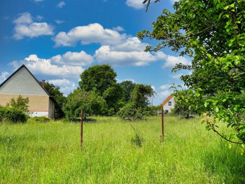 Borna Bauen Sie Reihenhäuser inmitten der Neuseenlandschaft - Mit Baugenehmigung! Grundstück kaufen