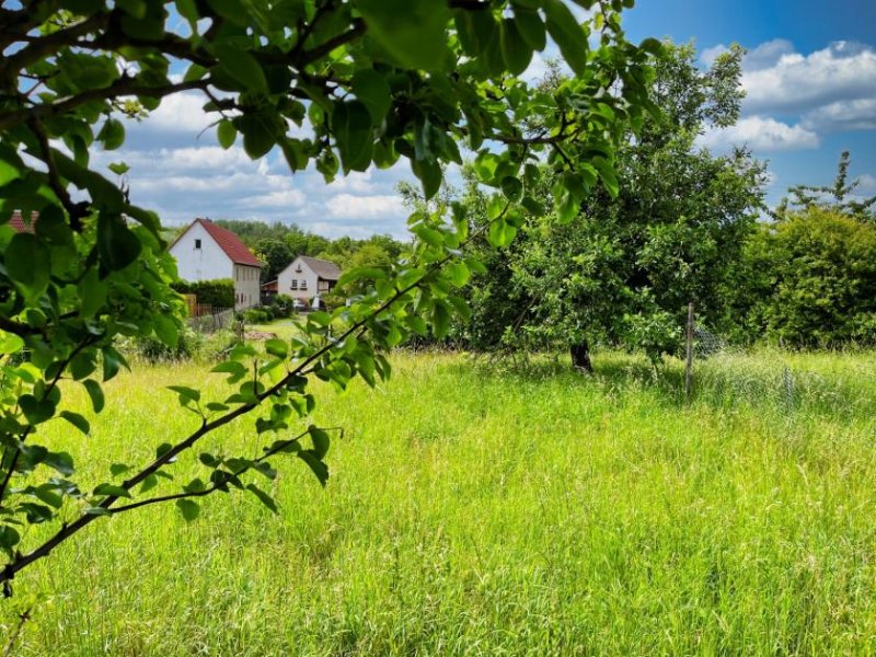 Borna RESERVIERT-Bauen Sie Ihr Traumhaus inmitten der Neuseenlandschaft - Mit Baugenehmigung! Grundstück kaufen