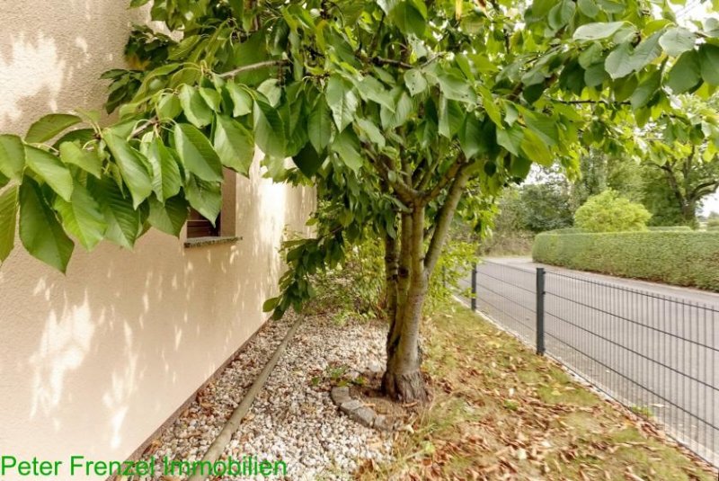 Bad Lausick Einfamilienhaus mit Carport und angelegtem Garten Haus kaufen