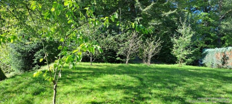 Döbeln Wohnen mit Blick über Döbeln im Ortsteil Westewitz Grundstück kaufen