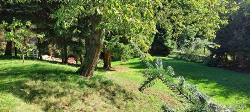 Döbeln Wohnen mit Blick über Döbeln im Ortsteil Westewitz Grundstück kaufen