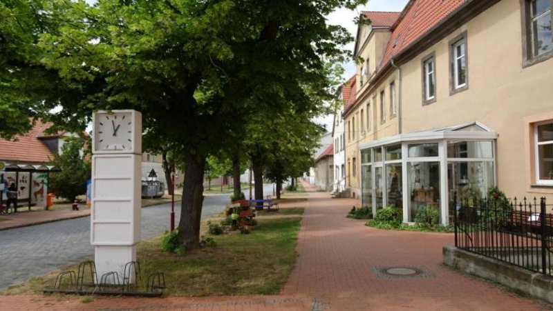 Osternienburg Denkmalgeschützter ehemaliger Gutshof auf ca. 8.4 Gewerbe kaufen