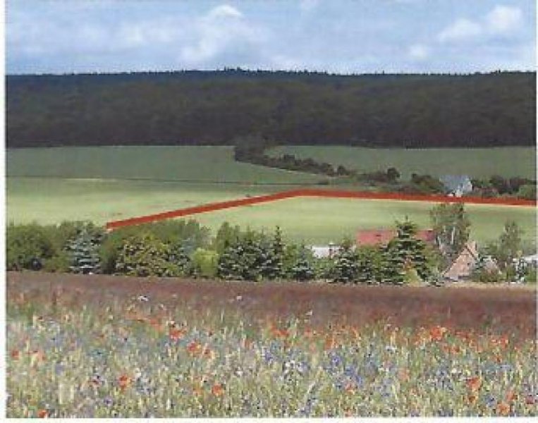 Meisdorf Baugrundstück Bauen mit Vision im Einklang mit der Natur
Grundstück kaufen