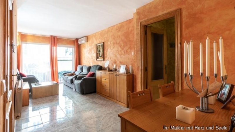 Palma de Mallorca ***Erdgeschosswohnung mit großen Terrassen und Obstgarten in Palma*** Wohnung kaufen