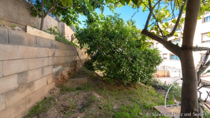 Palma de Mallorca ***Erdgeschosswohnung mit großen Terrassen und Obstgarten in Palma*** Wohnung kaufen