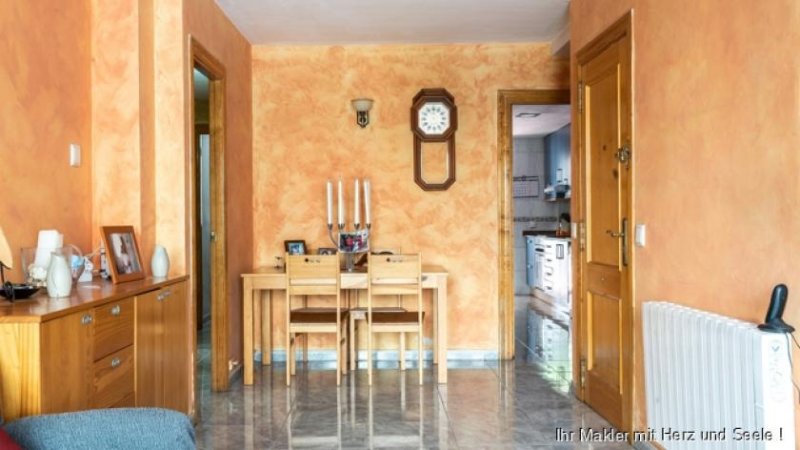 Palma de Mallorca ***Erdgeschosswohnung mit großen Terrassen und Obstgarten in Palma*** Wohnung kaufen