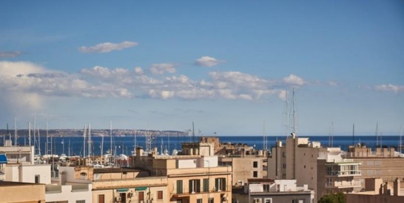 Palma de Mallorca ***Grosses Apartment am Palma Tennis Club mit Terrasse und toller Aussicht*** Wohnung kaufen