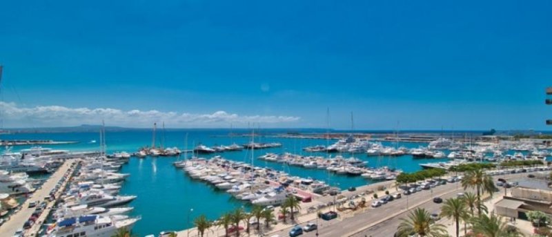 Palma de Mallorca Mallorca beeindruckendes Meerblickapartment am Hafen von Palma zu verkaufen Wohnung kaufen