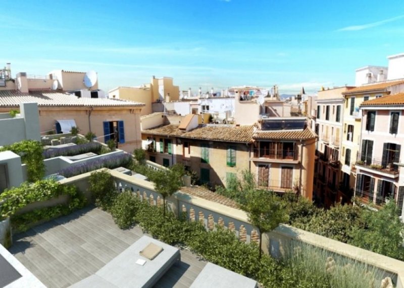 Palma de Mallorca Mallorca Neue Luxusapartments in der Altstadt von Palma zu verkaufen Wohnung kaufen