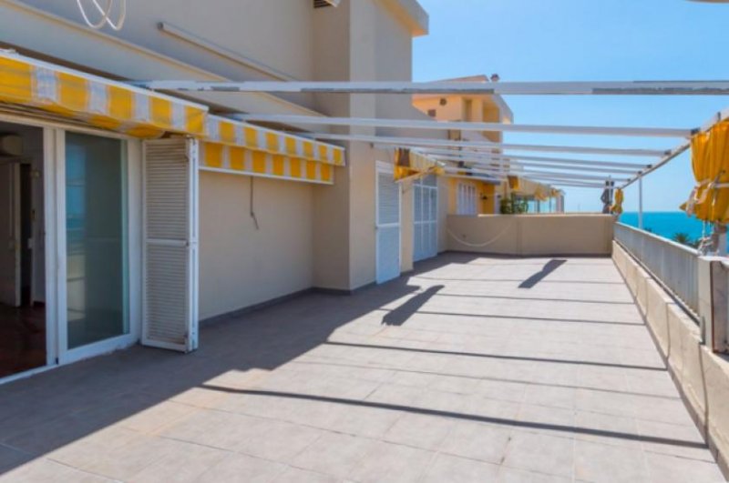 Palma de Mallorca Mallorca Penthouse mit südwestlicher Terrasse für Sonnengenießer in Palma zu verkaufen Wohnung kaufen