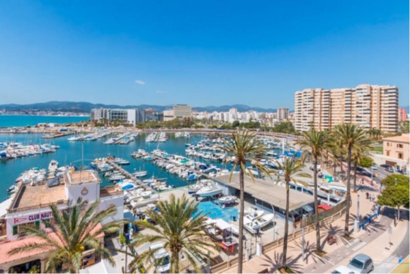 Palma de Mallorca Mallorca Penthouse mit südwestlicher Terrasse für Sonnengenießer in Palma zu verkaufen Wohnung kaufen