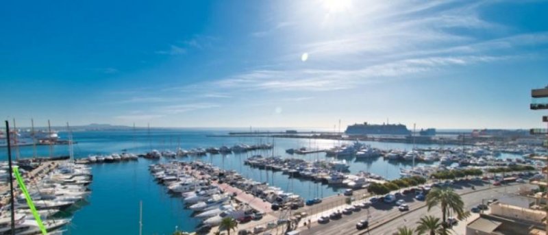 Palma de Mallorca Moderne Meerblick Wohnung in Premium Lage am Paseo Maritimo in Palma zu verkaufen Wohnung kaufen