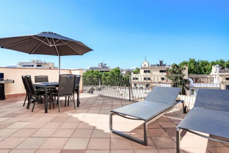 Palma de Mallorca Stilvolle Wohnung mit großer privater Terrasse im Herzen der Altstadt von Mallorca zu verkaufen Wohnung kaufen