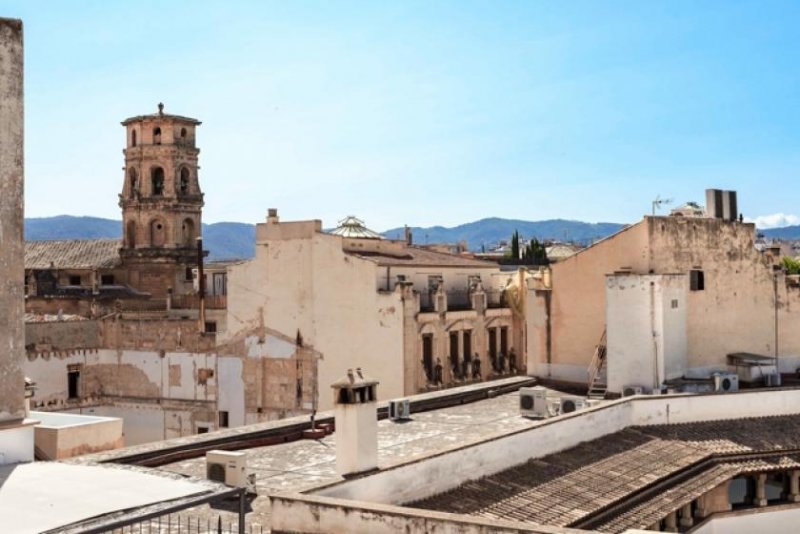 Palma de Mallorca Stilvolle Wohnung mit großer privater Terrasse im Herzen der Altstadt von Mallorca zu verkaufen Wohnung kaufen