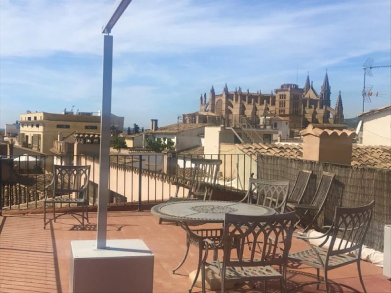 Palma De Mallorca Tolles Apartment mit großzügiger Terrasse in der Altstadt von Palma zu verkaufen Wohnung kaufen