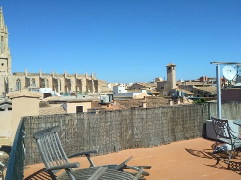 Palma De Mallorca Tolles Apartment mit großzügiger Terrasse in der Altstadt von Palma zu verkaufen Wohnung kaufen