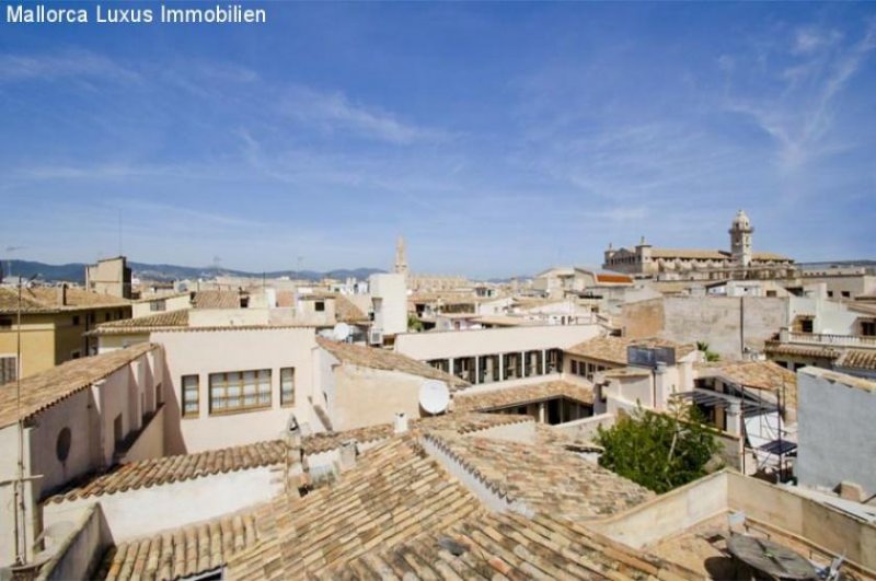 Palma de Mallorca Hochwertig renovierte Wohnung mit Terrasse im Palazzo Wohnung kaufen