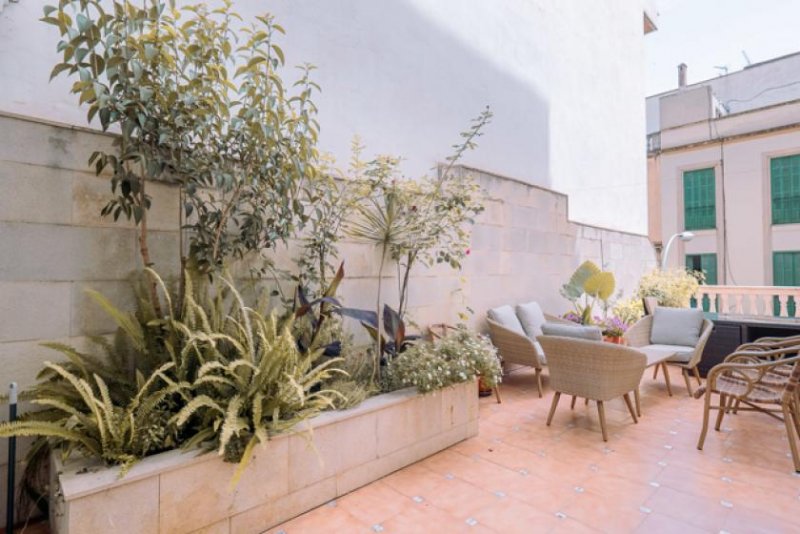 Palma de Mallorca Mallorca großzügige Wohnung mit wunderbarer Terrasse mitten in Palma zu verkaufen Wohnung kaufen