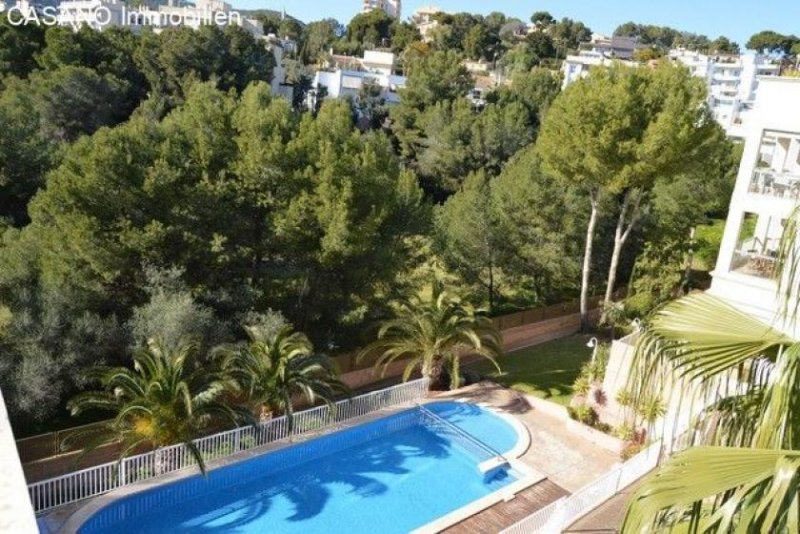 Bonanova Sonnnige Penthouse-Wohnung mit großer Dachterrasse und Meerblick in Palma Wohnung kaufen