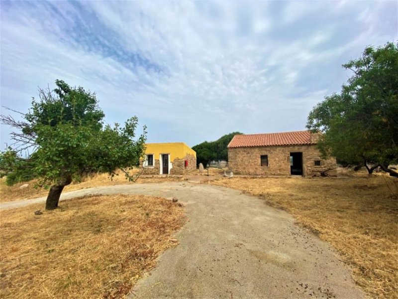 Aglientu Große Struktur für B&B, Meerblick Haus kaufen