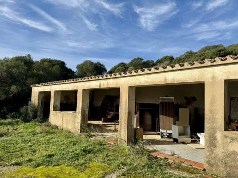 Aglientu Große Struktur mit Meerblick und Potenzial, Vignola Haus kaufen