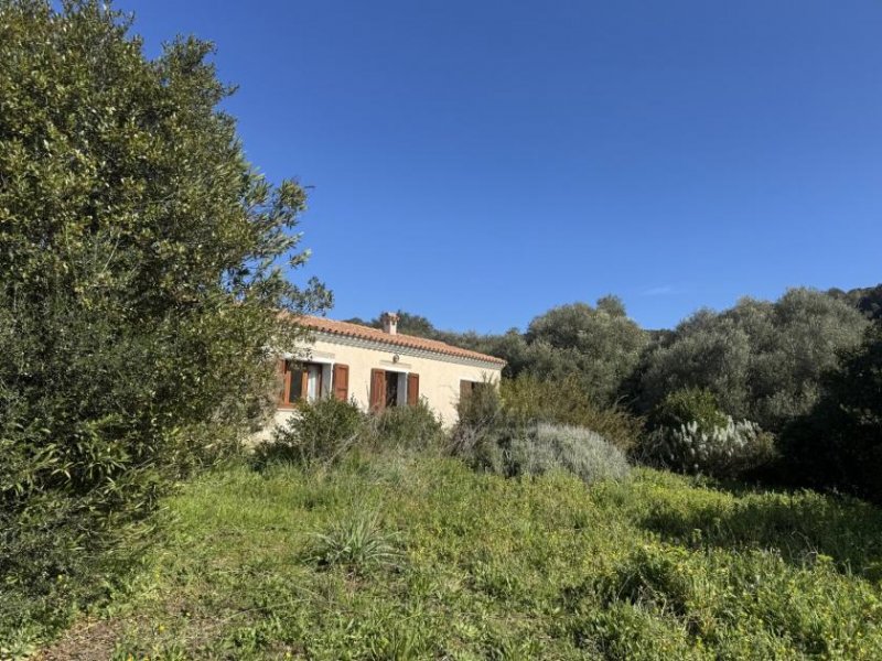 Aglientu Restauriertes Stazzo in San Biago, 15 min bis zum Meer Haus kaufen