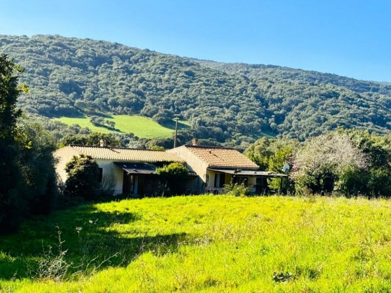 Aglientu Restauriertes Stazzo in San Biago, 15 min bis zum Meer Haus kaufen