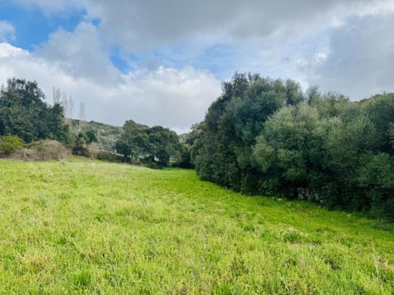 Aglientu Restauriertes Stazzo in San Biago, 15 min bis zum Meer Haus kaufen