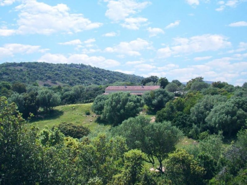 Luogosanto Haus Ginepro, La China, Luogosanto Haus kaufen